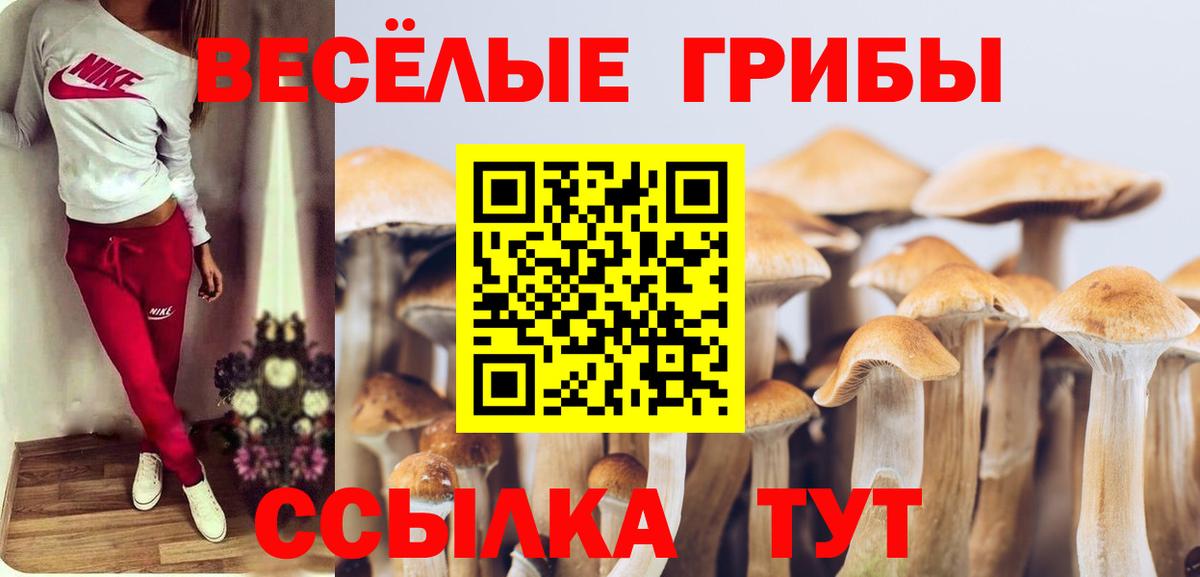 Псилоцибиновые грибы мухоморы Нижнекамск